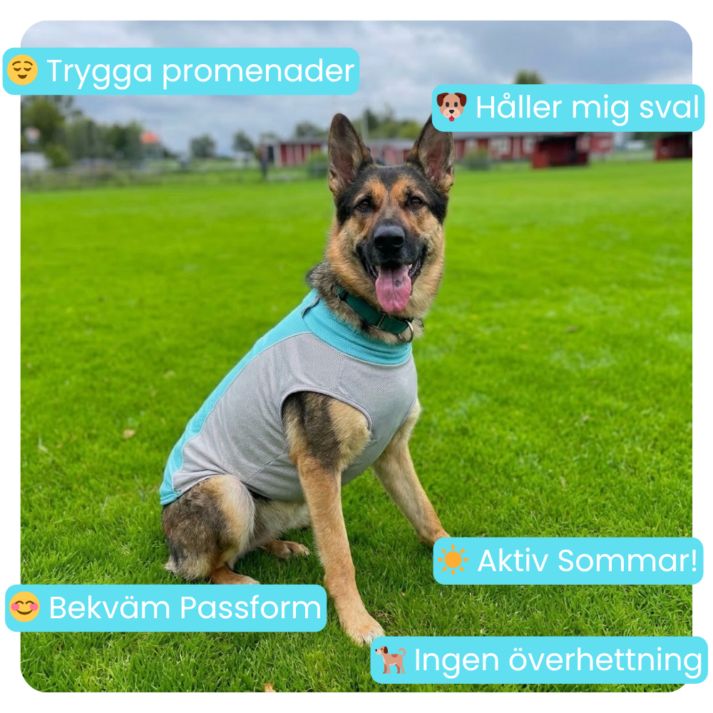 Värmereglerande väst