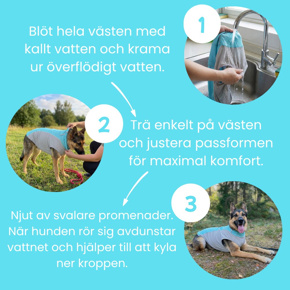 Värmereglerande väst