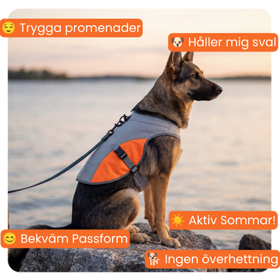 Värmereglerande väst